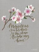 Biblia NBLA Edicion Artistica, Tapa Dura - Imagen 6