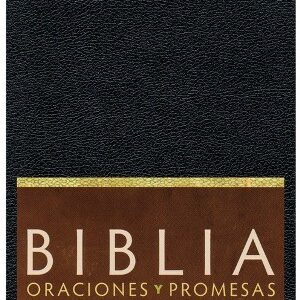 Biblia RVC Oraciones y Promesas Negro - Imitación piel