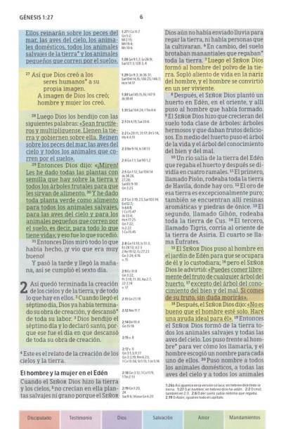Biblia Arco Iris NTV - Caleidoscopio / kaki simil piel - Imagen 3