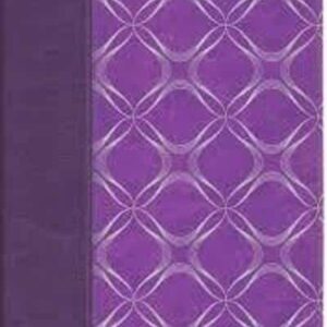 Biblia Ultrafina referencias - Violeta / plateado