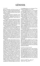 Biblia del ministro - Caoba piel - Imagen 3