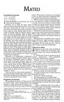 Nuevo Testamento NVI - Puente - Imagen 2