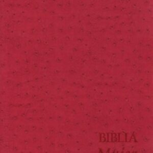 Biblia El Poder de una Mujer que Ora - Piel Rosa
