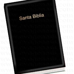 BIBLIA LETRA GRANDE RVR 60 VINILO